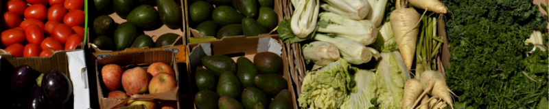 fresh food feed your skin from within