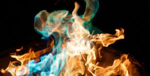 Photographer Chris Rhodes