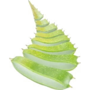 Natural Beauty Care Aloe Ferox
